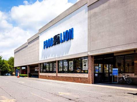 Your Complete Guide to Food Lion Paystub