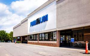 Your Complete Guide to Food Lion Paystub